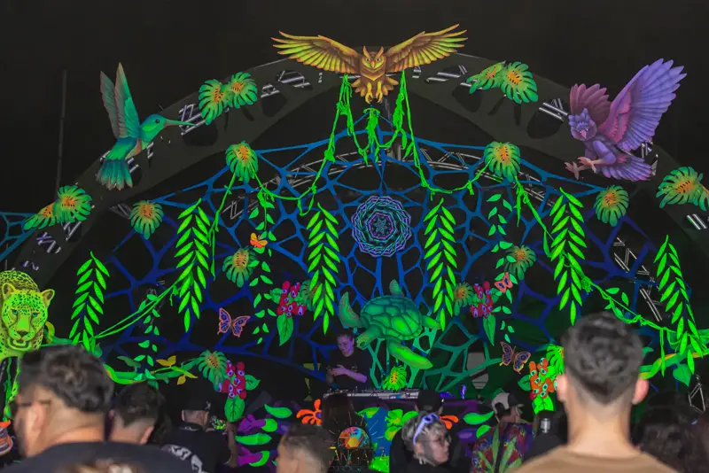 Decoração psicodélica com coruja e mandala
